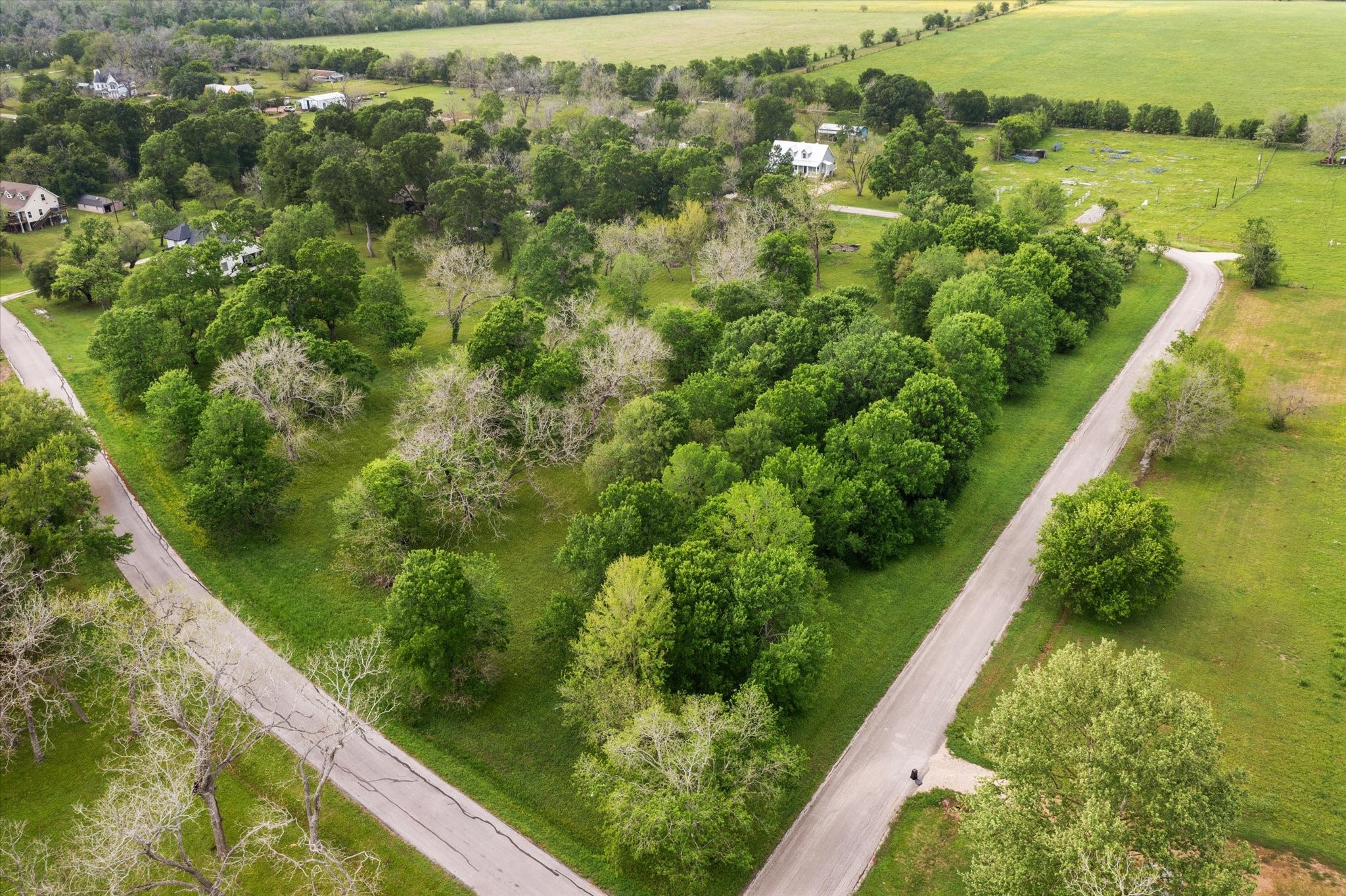 Lot 7-tbd Lot 7-tbd Wagon Road Wallis, TX 77485 - Photo 5 of 13 a view of a garden from a balcony
