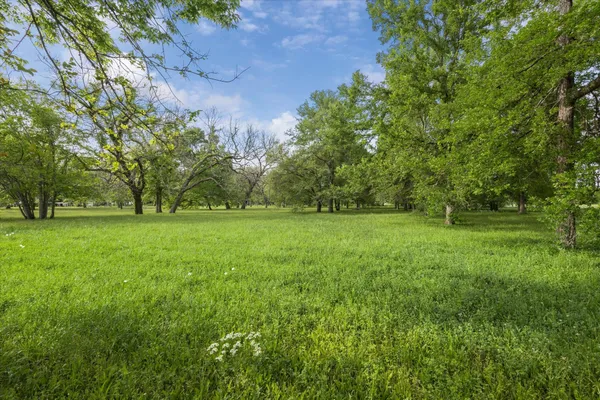 a view of a field with a trees in the background