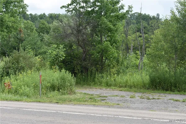 $25,000 | 10568 Highway 16, Yorkshire, NY 14042