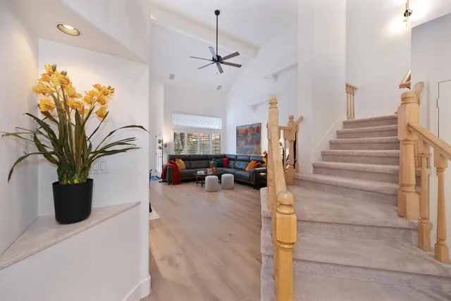 a view of a livingroom with furniture and a potted plant