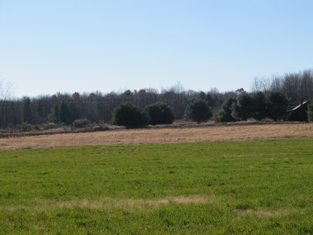 500 Grange Hall Road Tionesta, PA 16353 - Photo 1 of 1