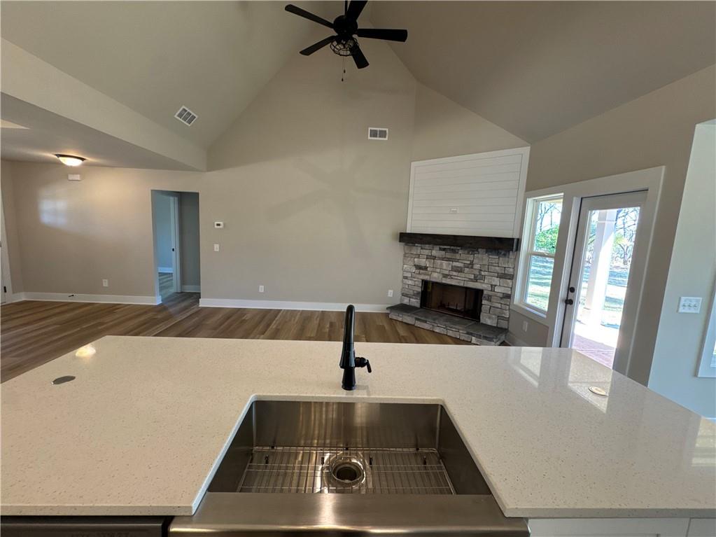 1612 Pickens Street Ball Ground, GA 30107 - Photo 9 of 53 a kitchen with a sink and a fireplace