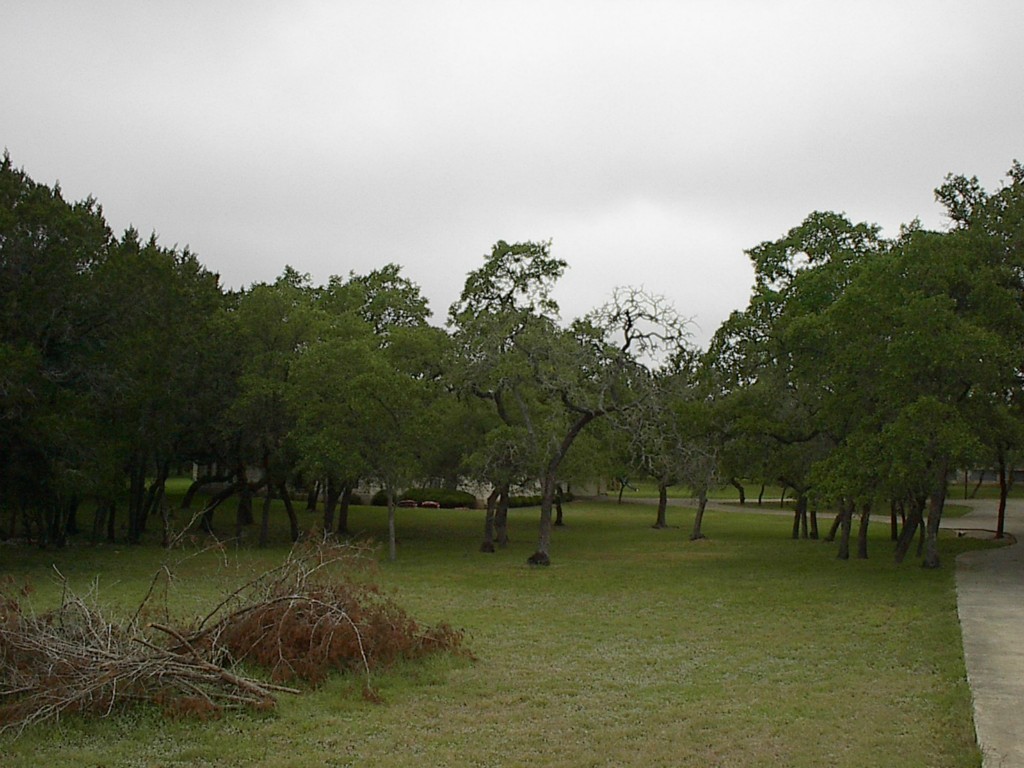 14 Coach House Road Austin, TX 78737 - Photo 1 of 1 Gallery Image 1