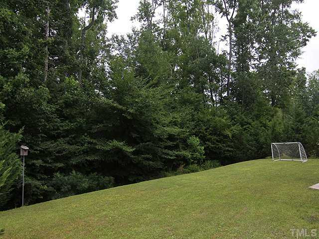 7732 Silver View Lane Raleigh, NC 27613 - Photo 22 of 25 Back Yard
