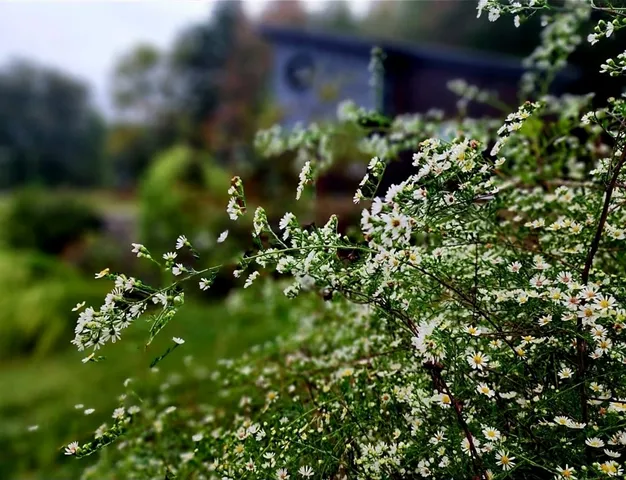 $2,300 | 10869 Highway 325, Blairsville, GA 30512