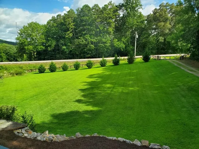 a view of green field with trees