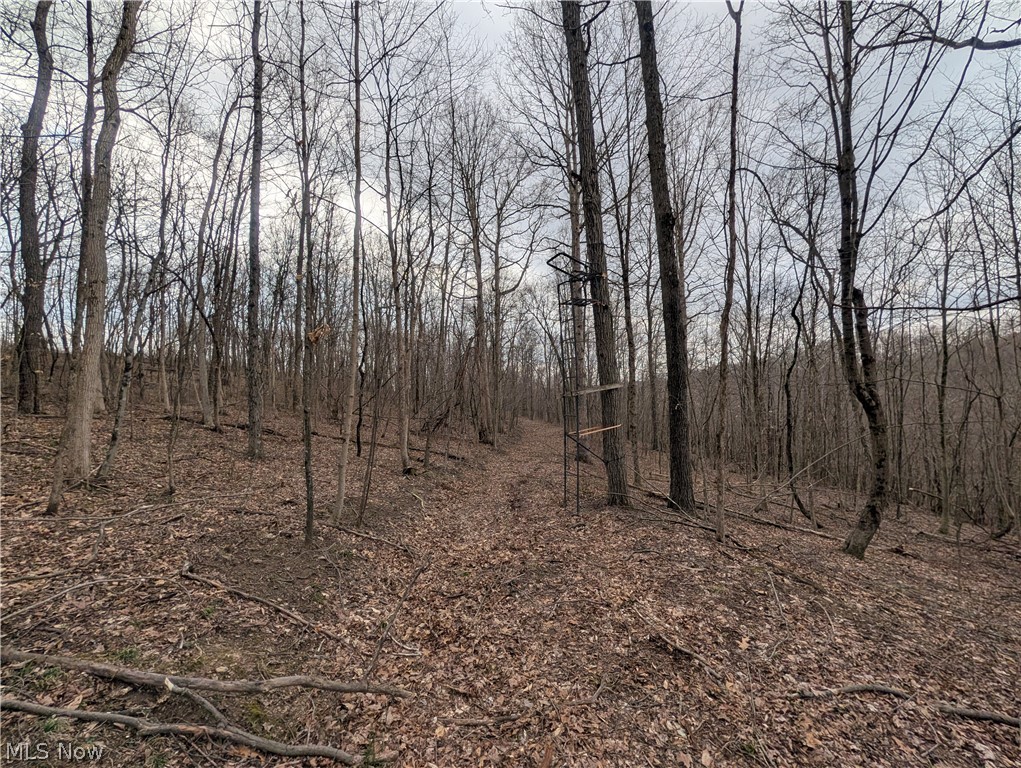 39000 Lees Run Road Cadiz, OH 43907 - Photo 37 of 49