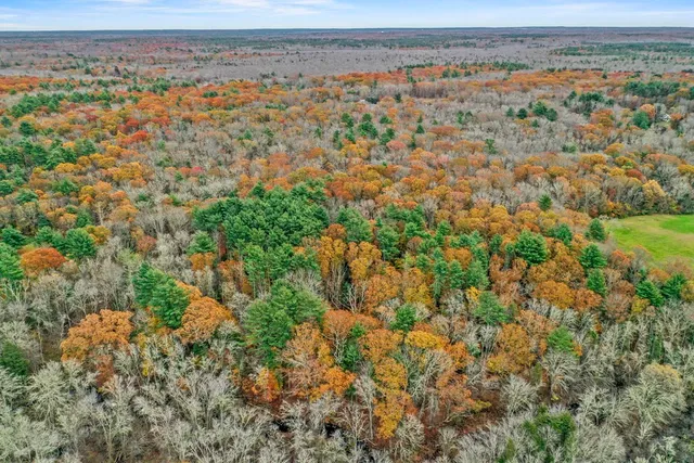 a view of an outdoor space and a yard