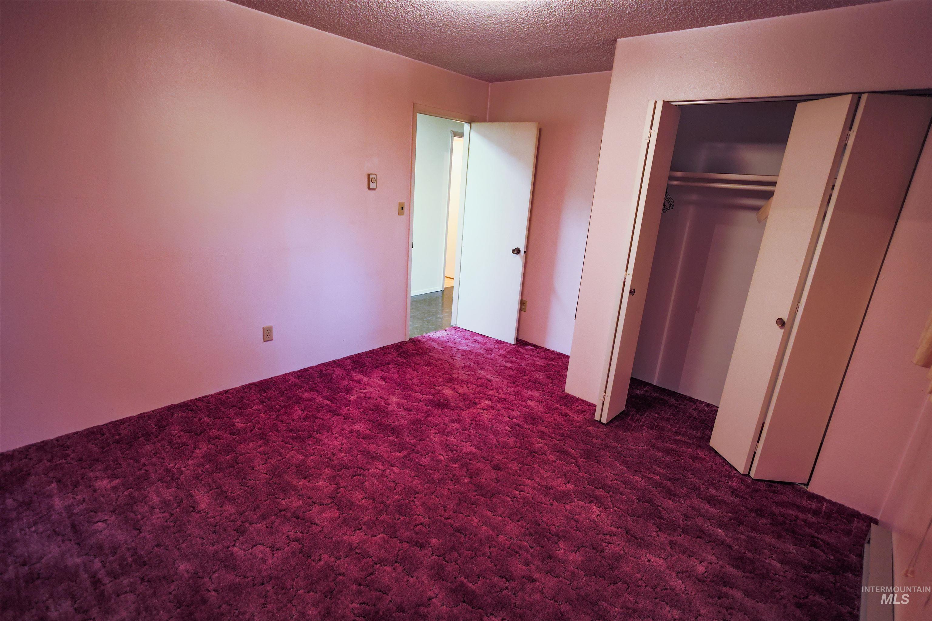 717 Big Cedar Road Kooskia, ID 83539 - Photo 21 of 50 Unfurnished bedroom with carpet flooring, a textured ceiling, and a closet