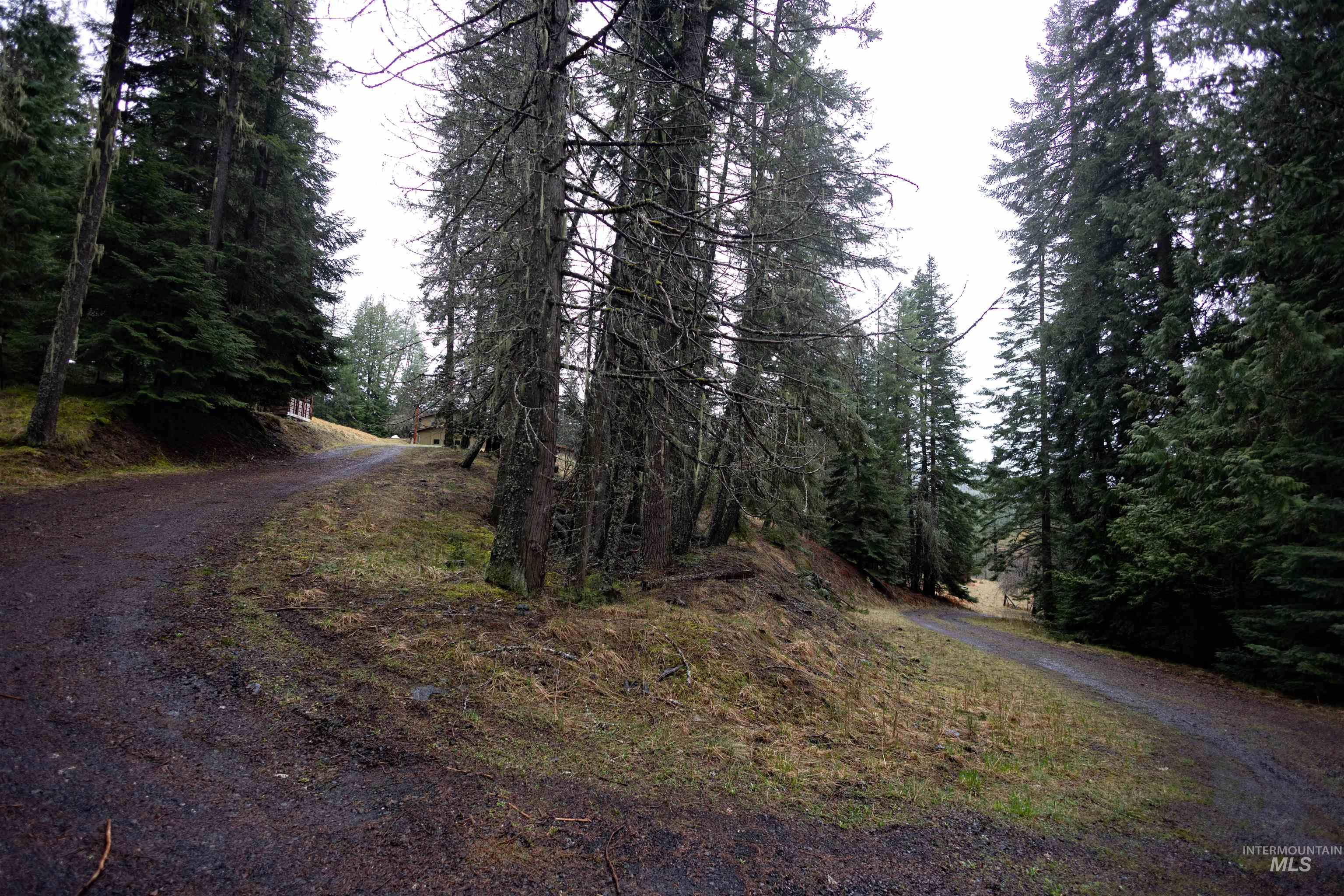 717 Big Cedar Road Kooskia, ID 83539 - Photo 36 of 50 View of dirt / gravel road