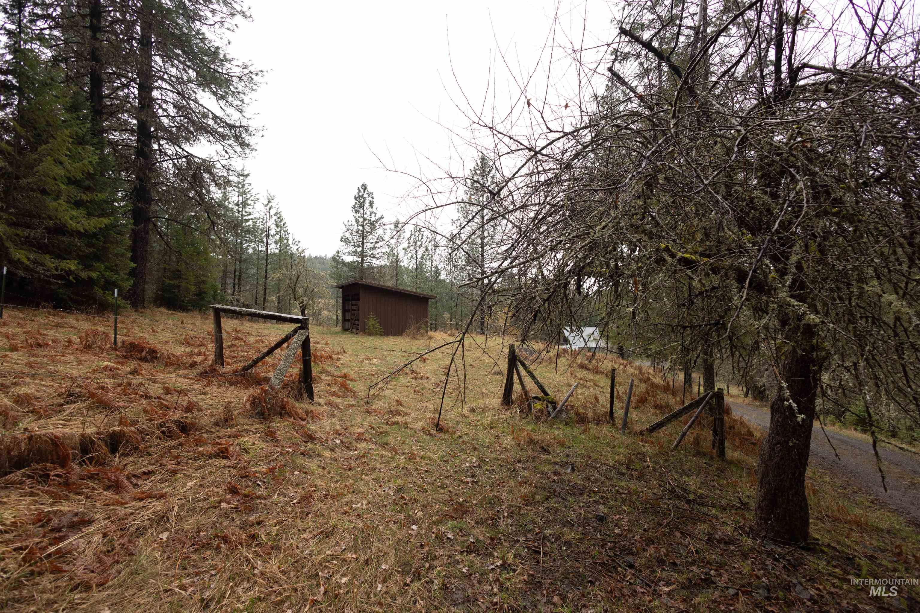 717 Big Cedar Road Kooskia, ID 83539 - Photo 37 of 50 View of yard featuring an outdoor structure