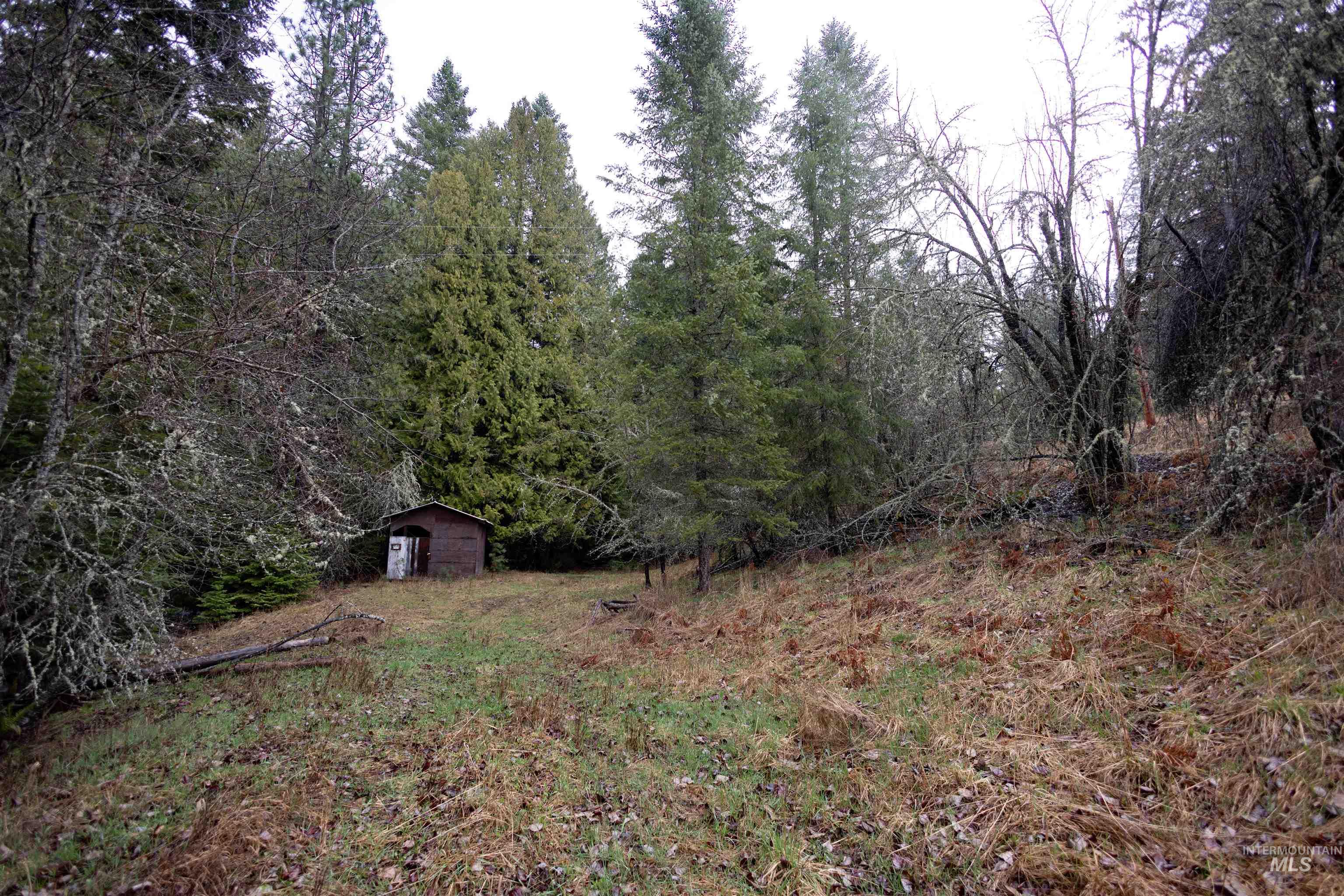 717 Big Cedar Road Kooskia, ID 83539 - Photo 41 of 50 View of yard with a storage shed and a wooded view