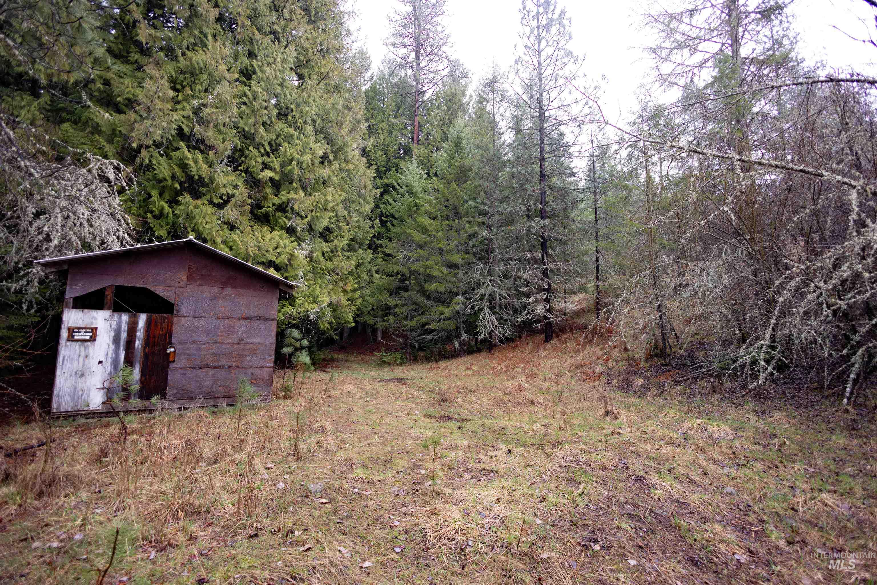 717 Big Cedar Road Kooskia, ID 83539 - Photo 42 of 50 View of yard featuring a storage shed and a wooded view
