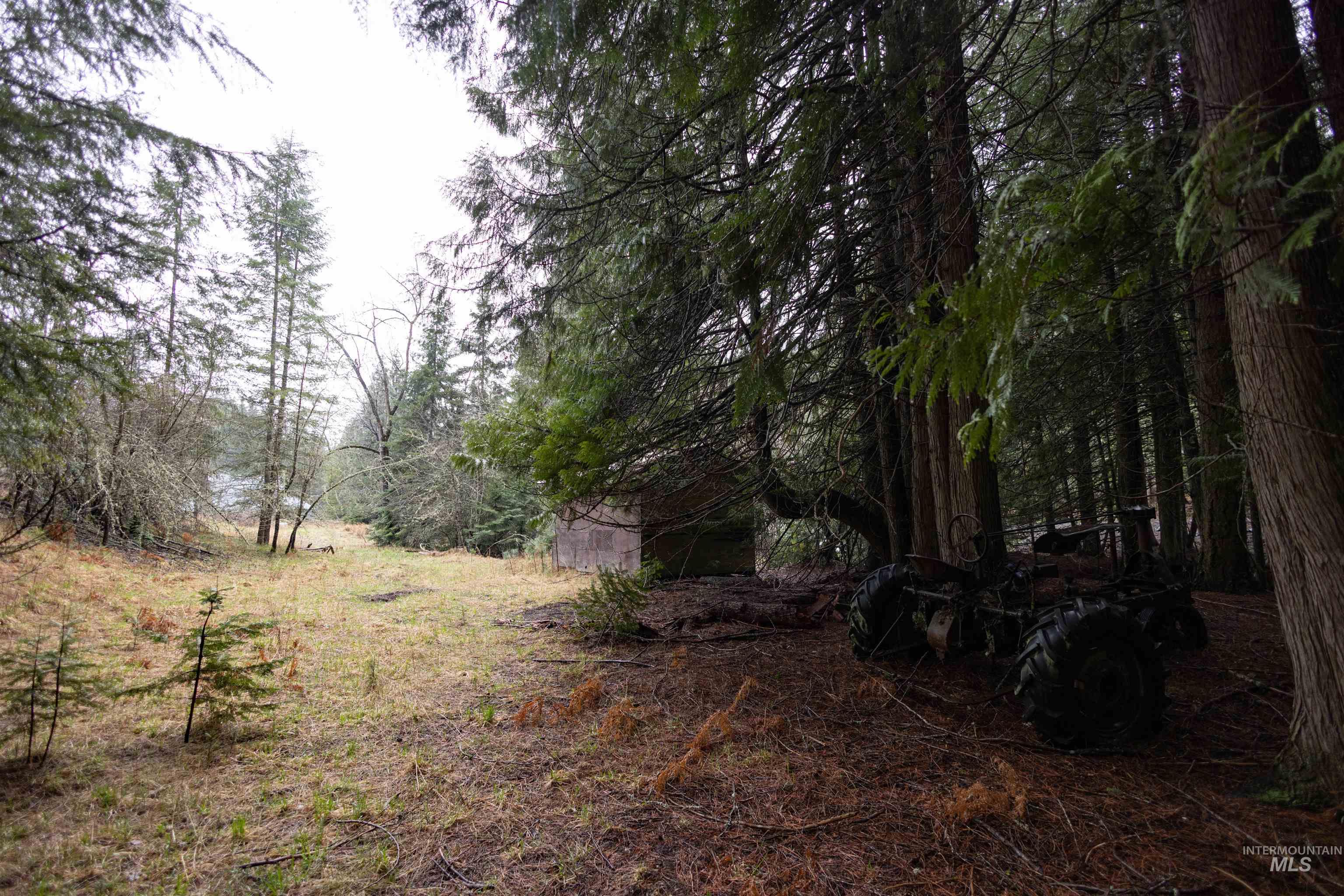 717 Big Cedar Road Kooskia, ID 83539 - Photo 45 of 50 View of yard