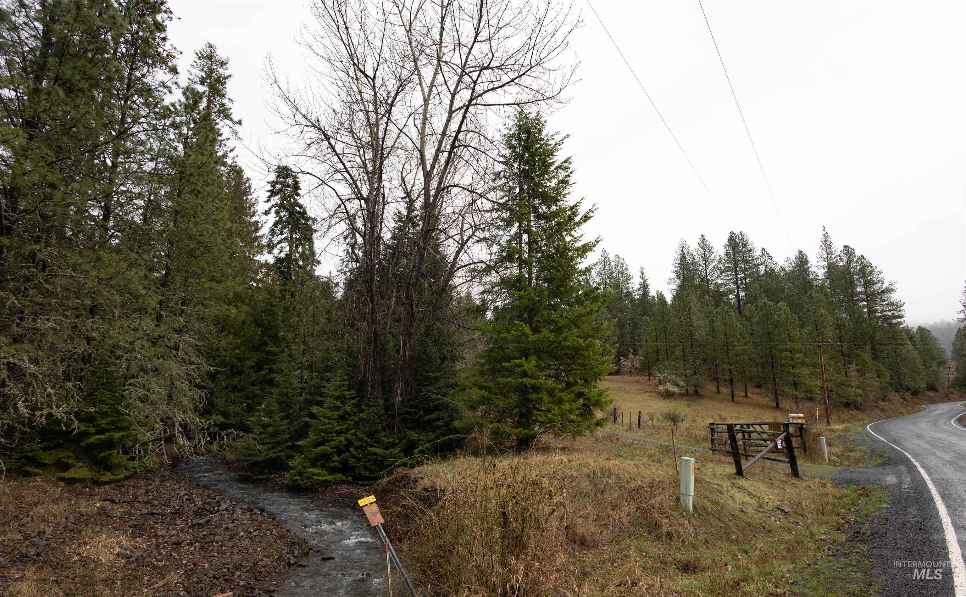 717 Big Cedar Road Kooskia, ID 83539 - Photo 46 of 50 View of asphalt road