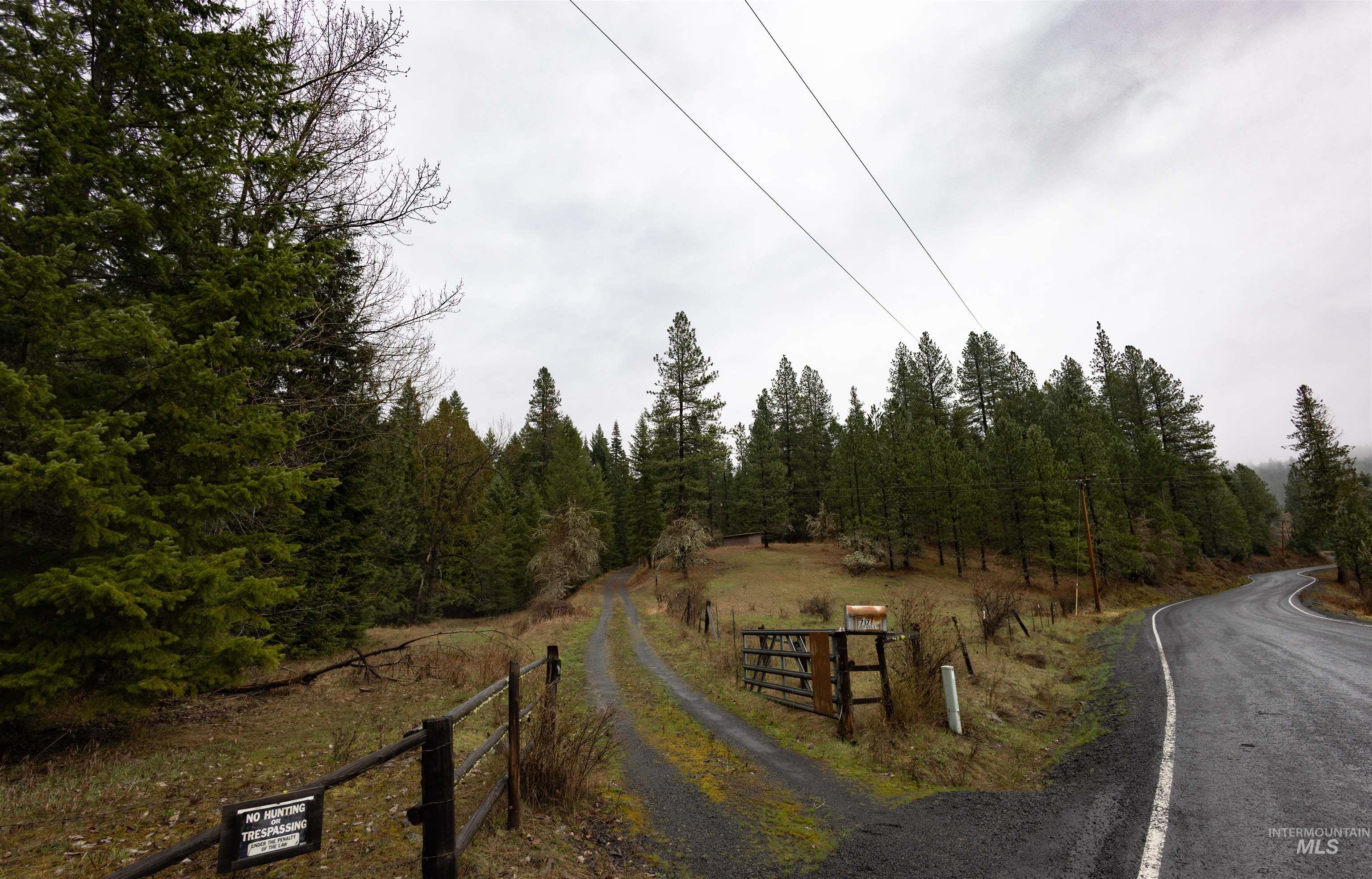717 Big Cedar Road Kooskia, ID 83539 - Photo 47 of 50 View of street
