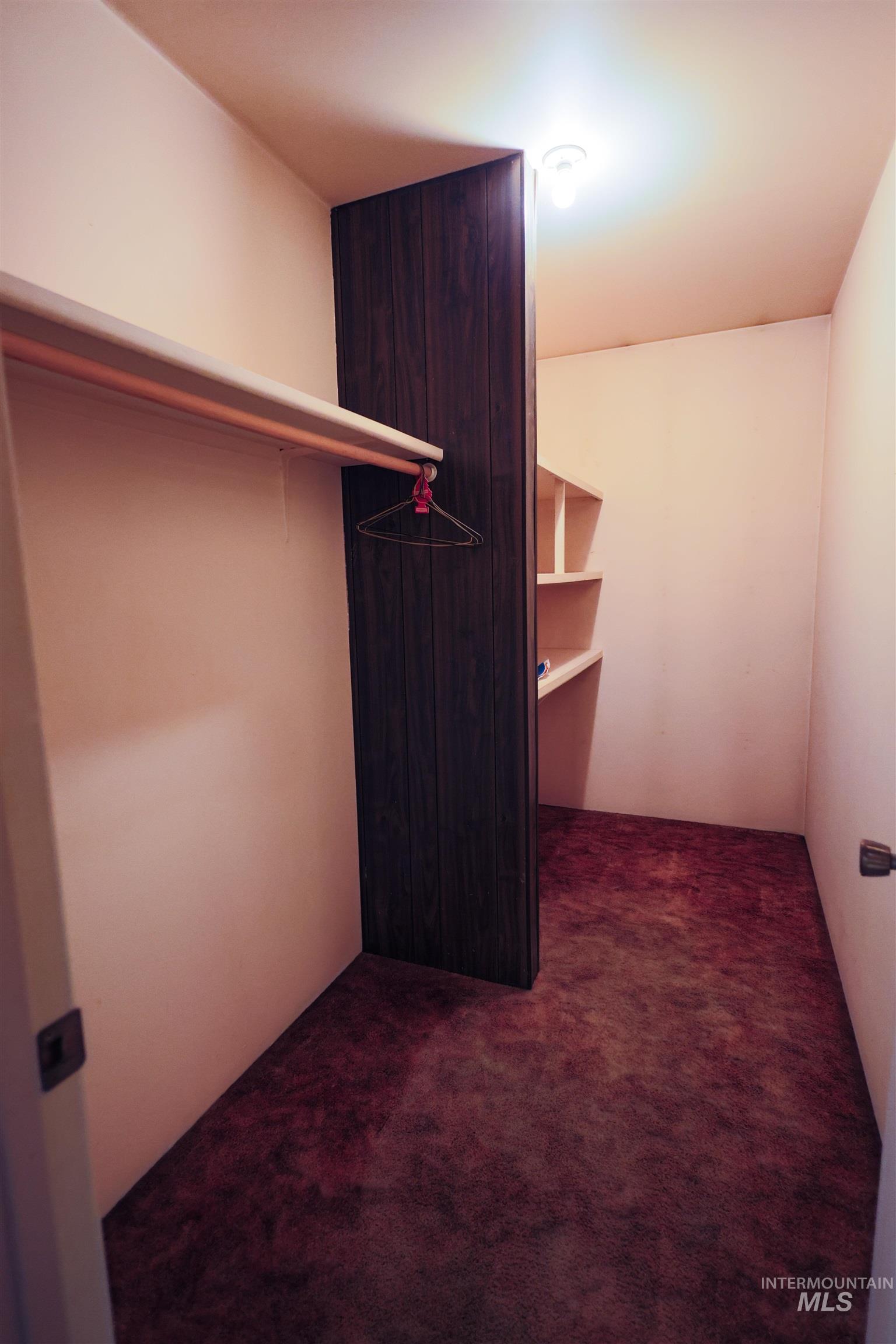 717 Big Cedar Road Kooskia, ID 83539 - Photo 9 of 50 Walk in closet with dark carpet