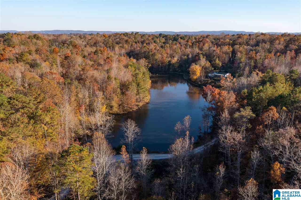 300 Henderson Lake Road Sylacauga, AL 35151 - Photo 12 of 20