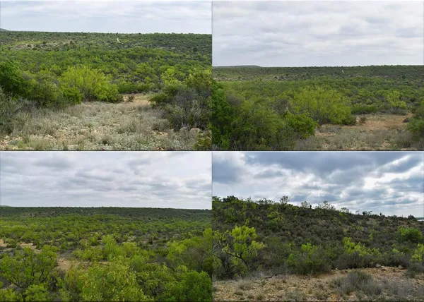 $1,835,470 | 3408 Cr 312 Voss Tx 76888, Voss, TX 76888