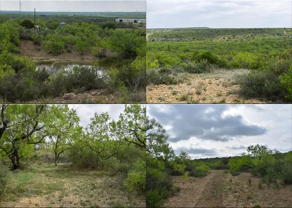 $1,835,470 | 3408 Cr 312 Voss Tx 76888, Voss, TX 76888