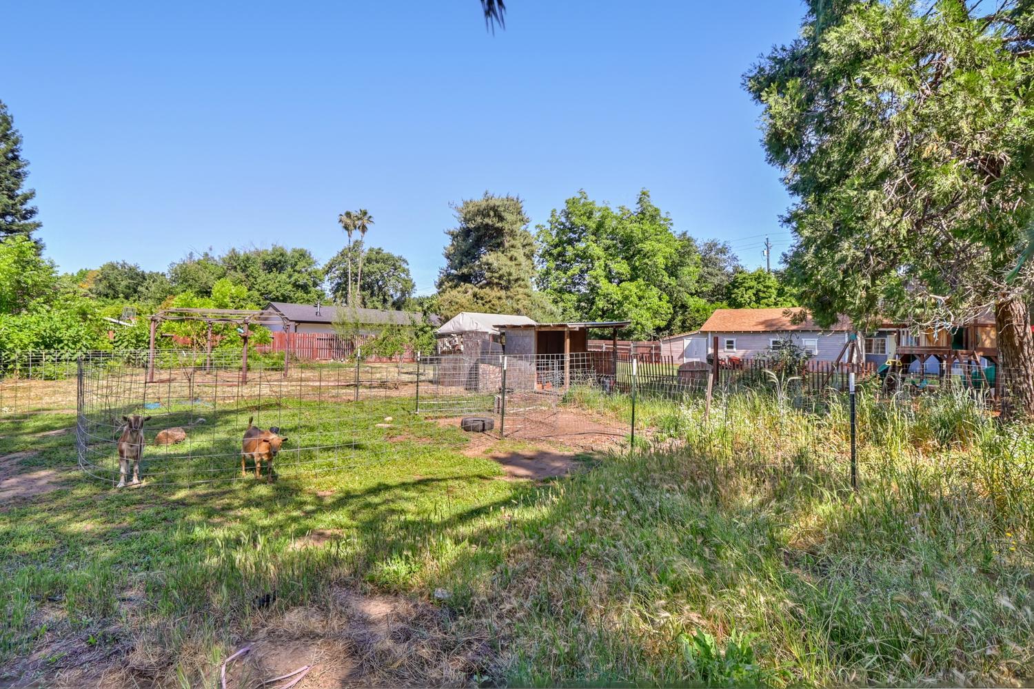 1875 Sycamore Street Gridley, CA 95948 - Photo 57 of 80