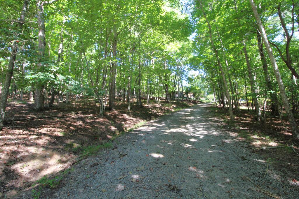 46 Arthur Ridge Brasstown, NC 28902 - Photo 25 of 31 Gallery Image 25