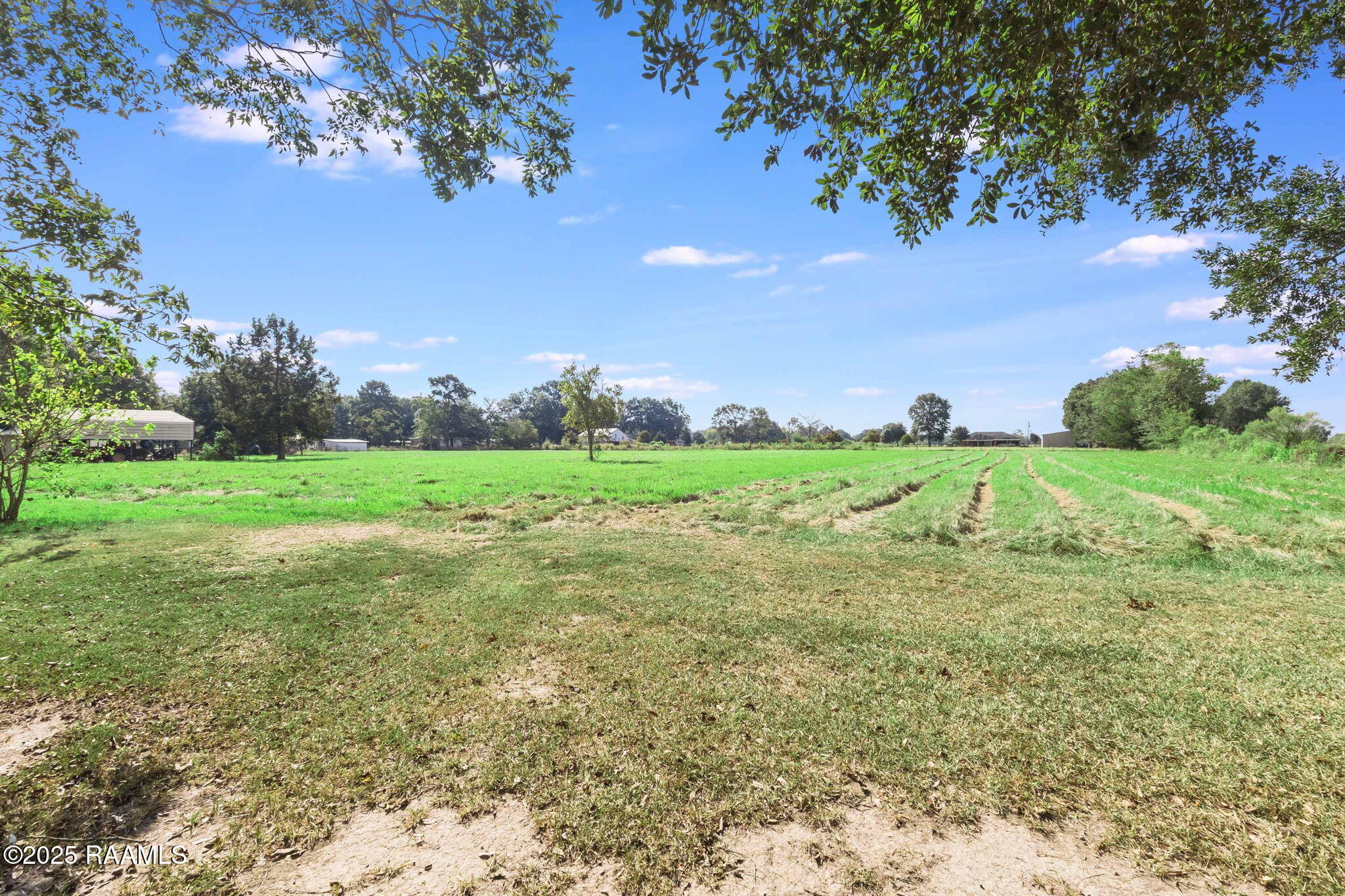 795 Belaire Cove Road Ville Platte, LA 70586 - Photo 20 of 20 Back Property