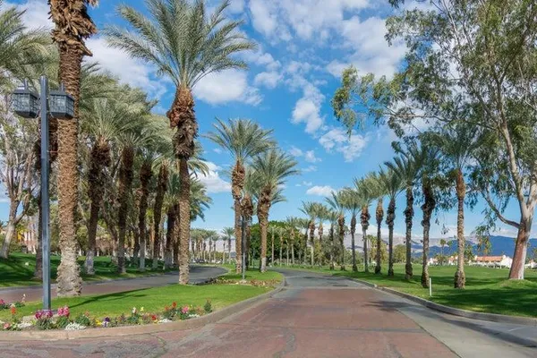 a view of a park with palm trees