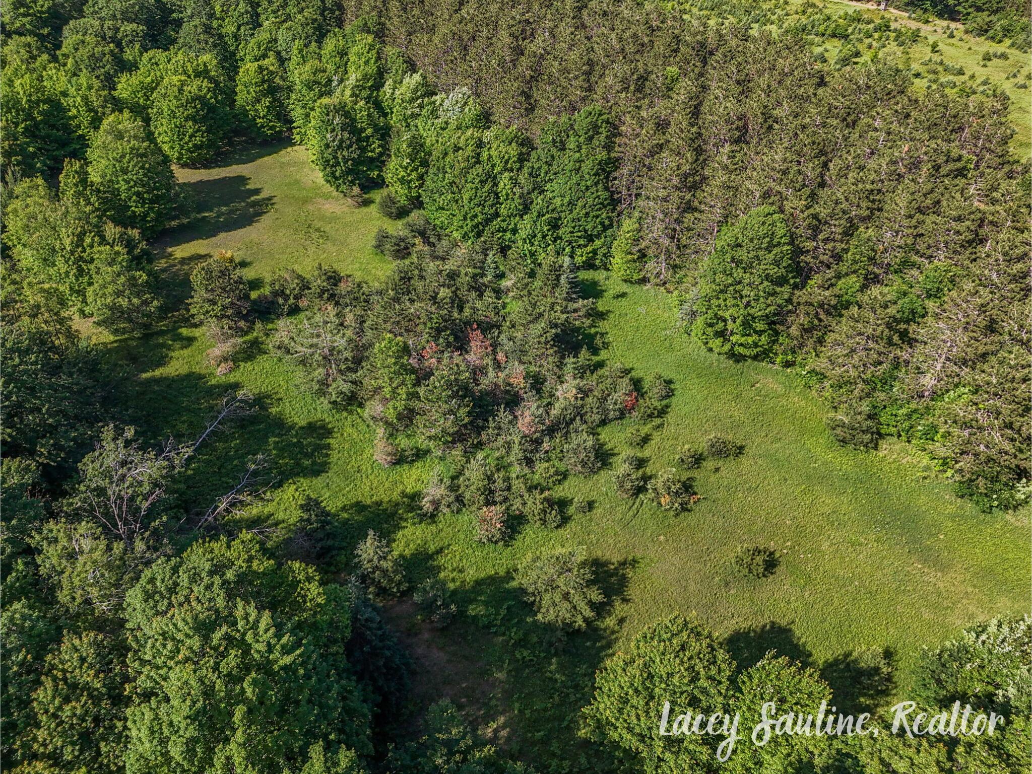 West Finkle Road Cadillac, MI 49601 - Photo 10 of 21 12