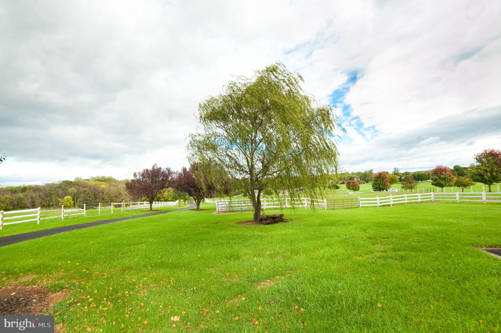 590 Carlyle Road Martinsburg, WV 25404 - Photo 57 of 94