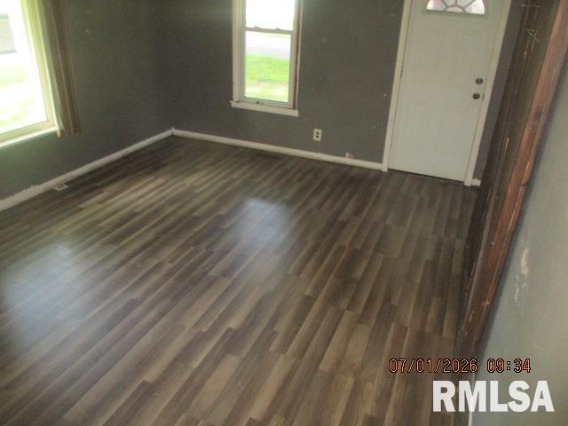 601 Maple Avenue St. David, IL 61563 - Photo 4 of 14