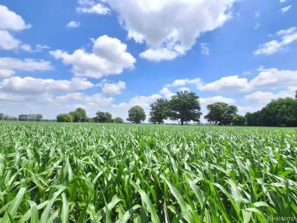$50,000 | Auction Lot# 1-10 Acres Auction Road, Allenton, MI 48002