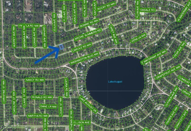 978 Archie Summers Road Lake Placid, FL 33852 - Photo 2 of 4 a view of a plant in a garden