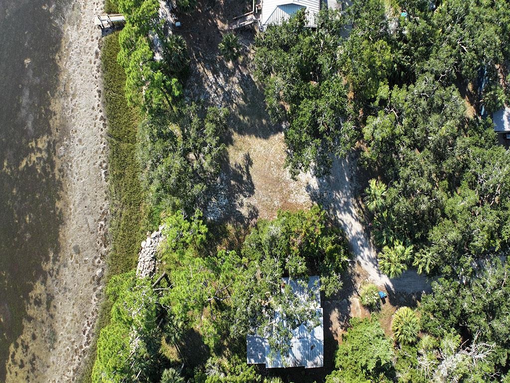 1250 Live Oak Island Road Crawfordville, FL 32327 - Photo 2 of 7