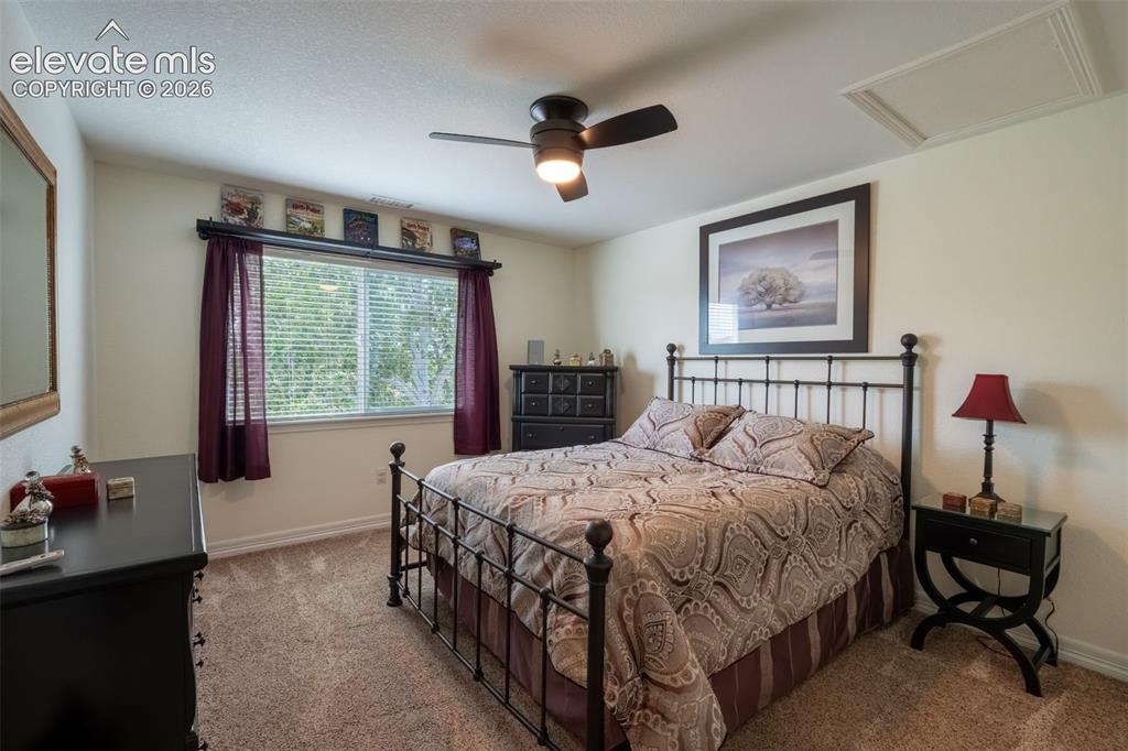 2385 Antelope Ridge Trail Parker, CO 80138 - Photo 34 of 47 GUEST BEDROOM 3