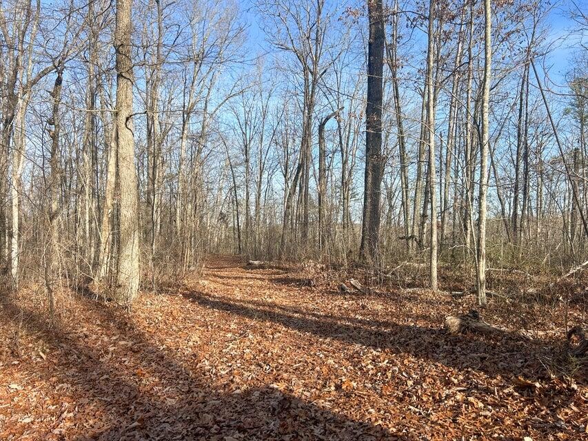 5 Deerhead Road Dunlap, TN 37327 - Photo 28 of 28 Gallery Image 28