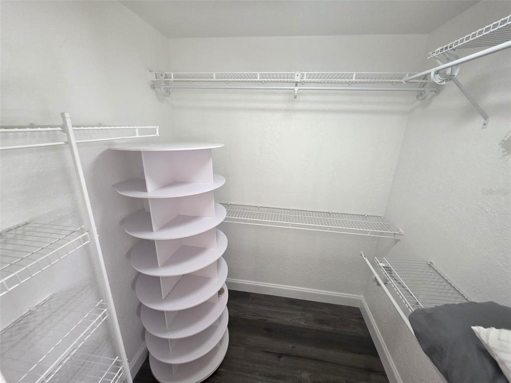 24921 Ravello Street Land O Lakes, FL 34639 - Photo 28 of 36 a view of walk in closet with empty racks