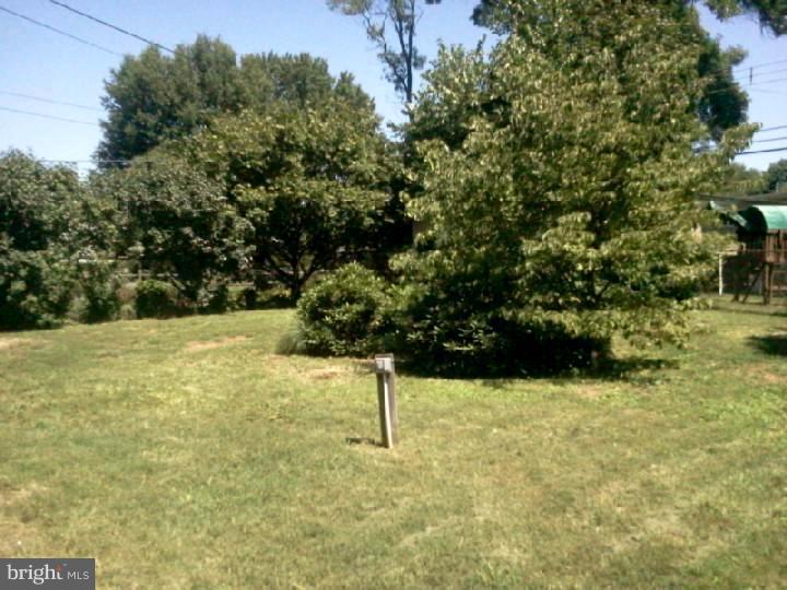 223 Overlook Road Ambler, PA 19002 - Photo 23 of 25 View in Back