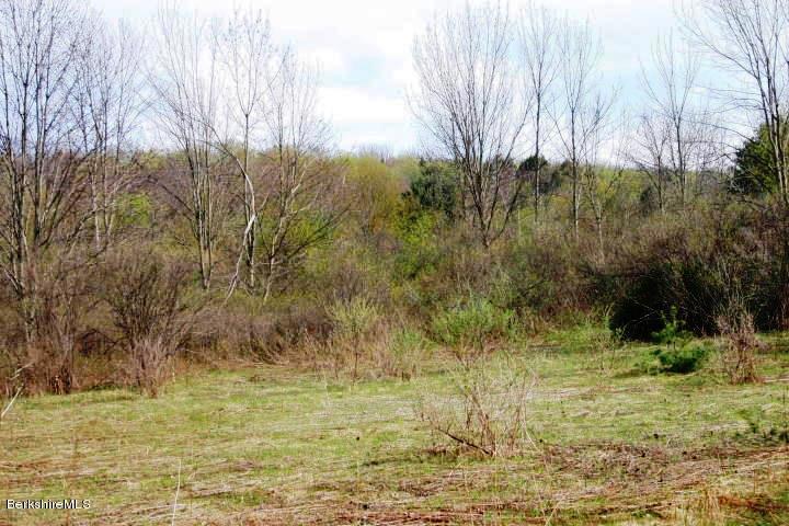 0 Albany Rd/state Line Road West Stockbridge, MA 01266 - Photo 1 of 7 a view of a yard