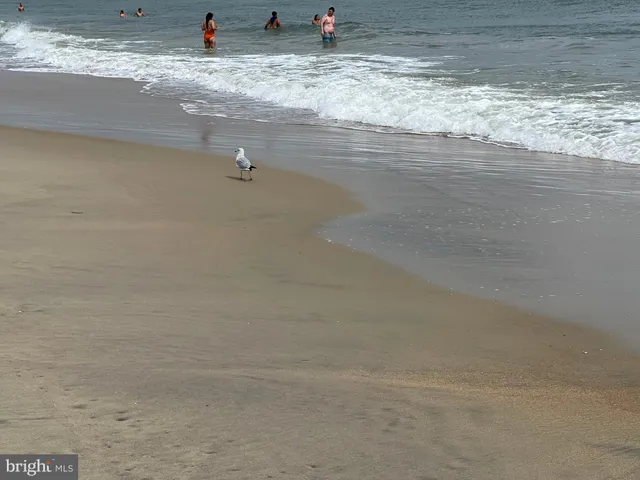 $449,900 | 902 Edgewater Avenue, Unit 502, Ocean City, MD 21842