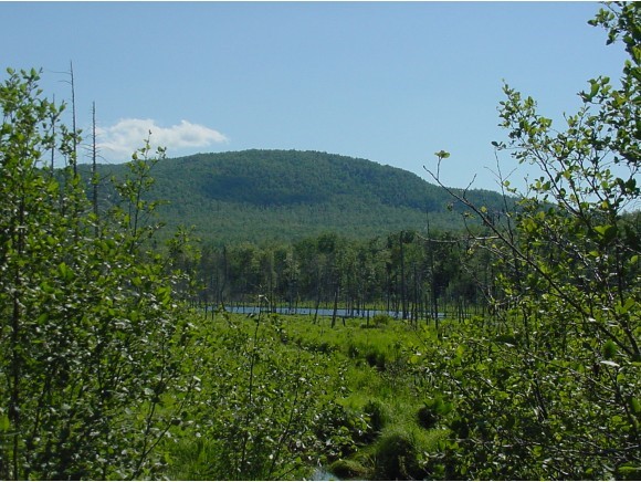 0 Newton Road Lowell, VT 05847 - Photo 1 of 1