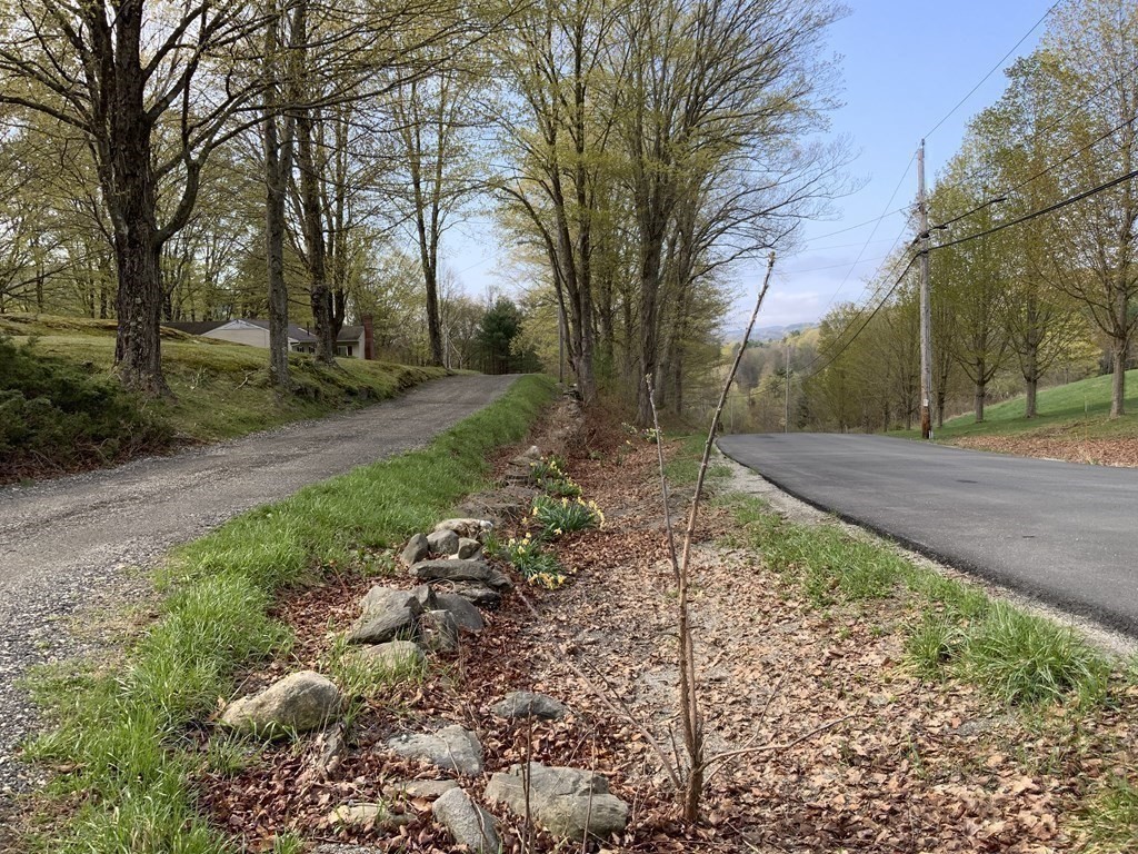 731 Greenfield Road Leyden, MA 01337 - Photo 26 of 36 a view of backyard with green space