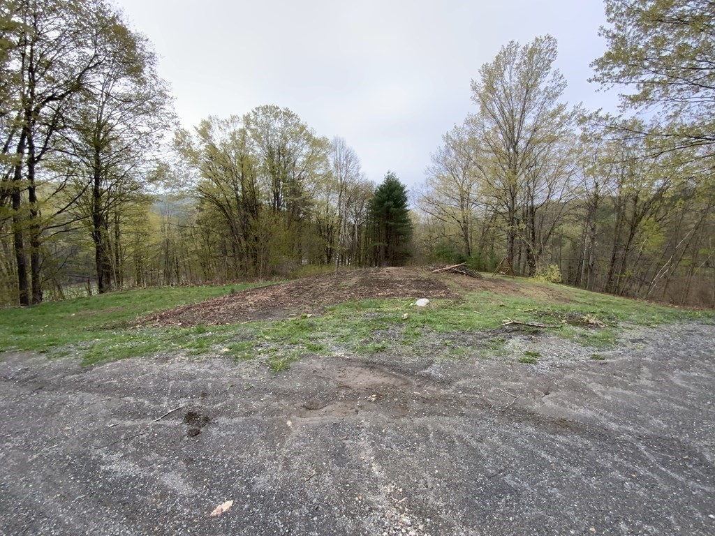 731 Greenfield Road Leyden, MA 01337 - Photo 28 of 36 a view of a yard with trees in the background