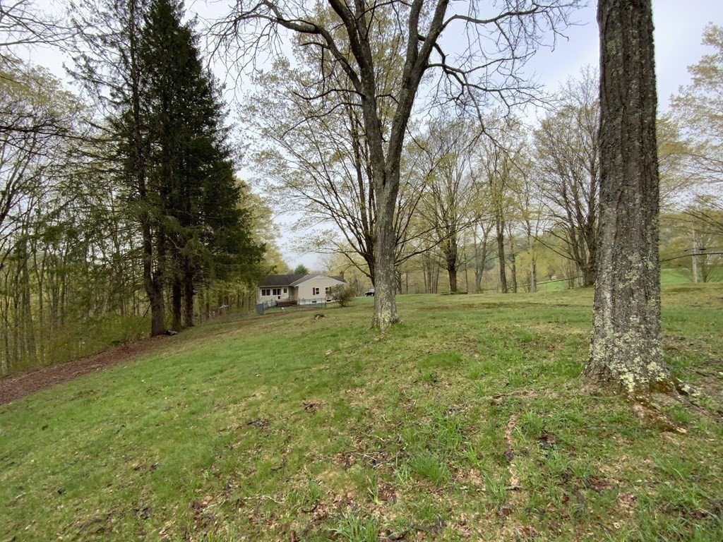 731 Greenfield Road Leyden, MA 01337 - Photo 29 of 36 a view of outdoor space with trees all around
