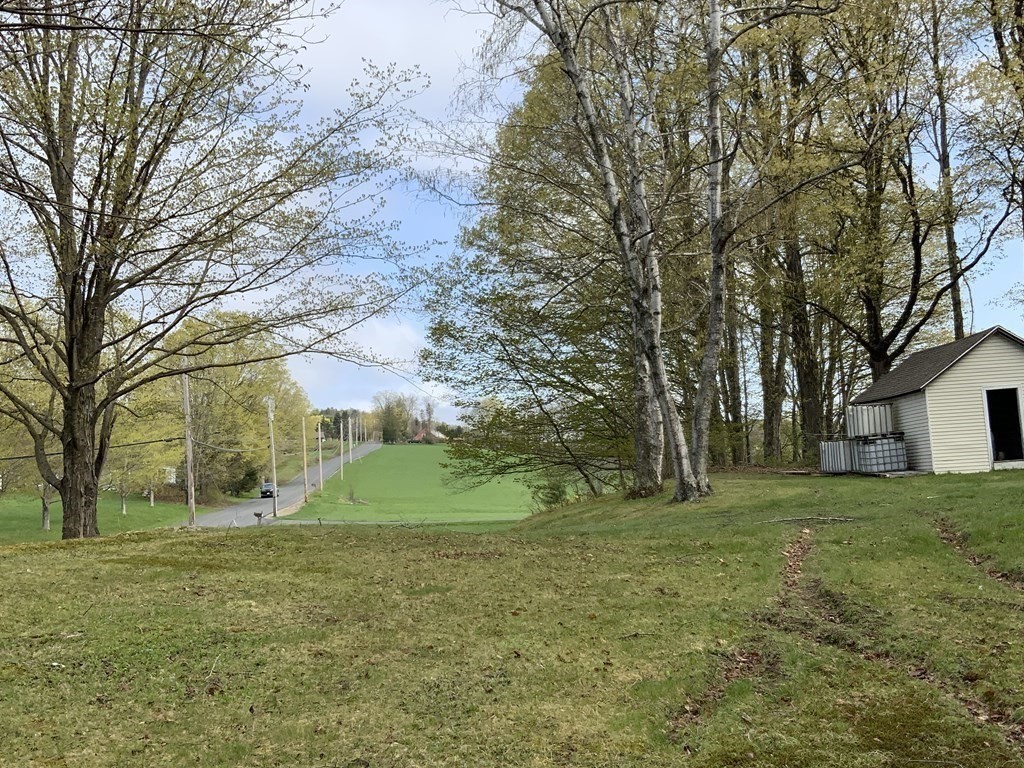 731 Greenfield Road Leyden, MA 01337 - Photo 4 of 36 a view of a field with large trees