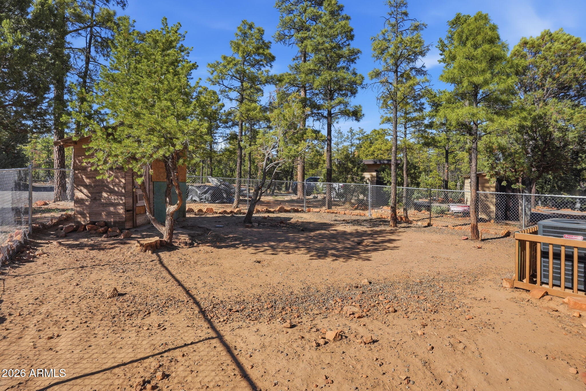2060 Gilbert Lane Overgaard, AZ 85933 - Photo 61 of 87 a view of a yard with plants and trees