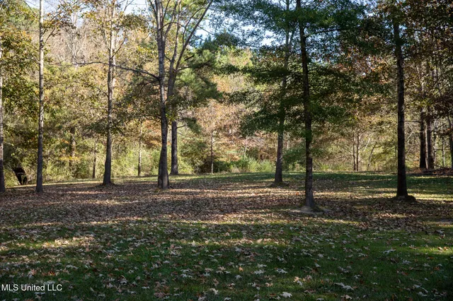 $290,000 | 14285 Highway 503, Decatur, MS 39327