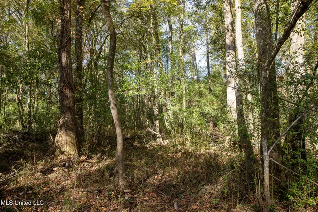 $290,000 | 14285 Highway 503, Decatur, MS 39327