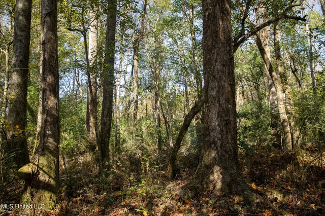 $290,000 | 14285 Highway 503, Decatur, MS 39327