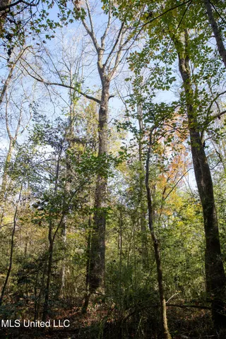 $290,000 | 14285 Highway 503, Decatur, MS 39327